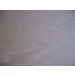 Vezane plošče BUKEV B/BB 2440 x 1250 mm
